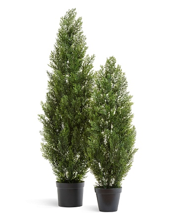 Туя Эйр Элеганс уличная 10.0215054/5N