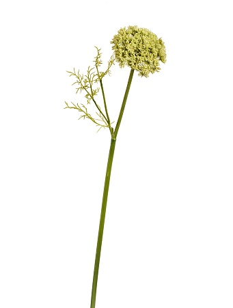 Анна Королевская светло-зеленая 30.03170273GR