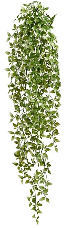 Традесканция бело-зелёная (пластик) в-100 см 12/48...