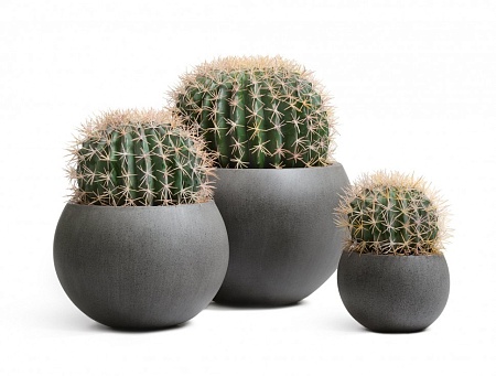 Кашпо TREEZ Effectory Beton Полусфера Тёмно-серый бетон д-43 см, в-29 см