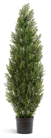 Туя Эйр Элеганс уличная 10.0215054/3N