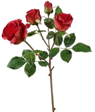 Роза Флорибунда ветвь красная 30.0610053RD