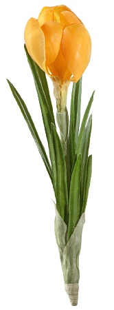 Крокус желтый  30.03080068YL