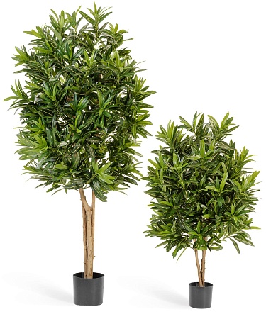 Кротон Голдфингер 10.37405N