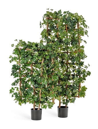 Решетка с циссусом 10.43206N