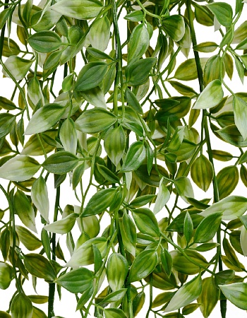 Традесканция бело-зелёная (пластик) в-100 см 12/48...