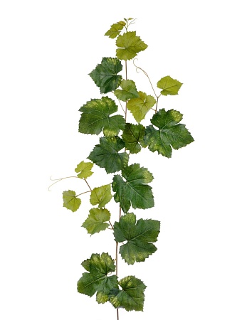 Виноградная гирлянда зеленая 20.6225N