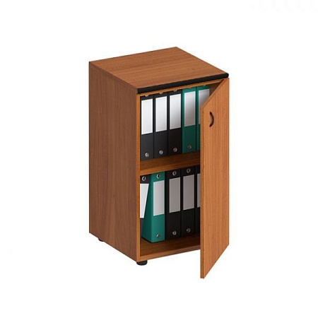 Шкаф для документов узкий низкий закрытый ДР 755 СО