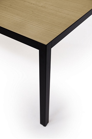 Стол переговорный 109 301 ECL