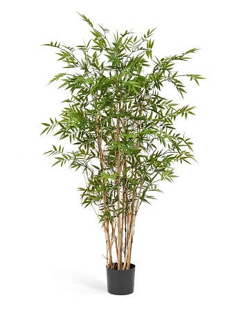 Бамбук Новый Японский Элегант 10.33906N