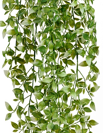 Традесканция бело-зелёная (пластик) в-100 см 12/48...