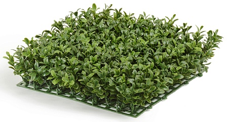 Самшитовый коврик Новый в-7 см, 25х25 см (пластик)...