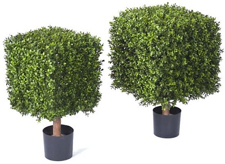 Самшит квадрат уличный на каркасе 10.44703N