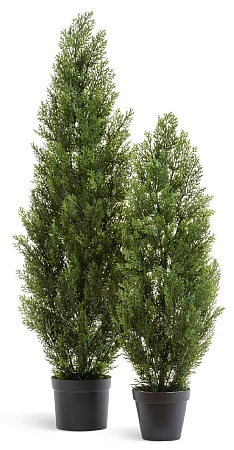 Туя Эйр Элеганс уличная 10.0215054/6N