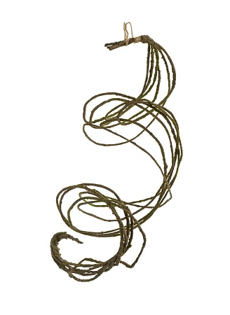 Лоза ветки декоративные (связка 6 шт.) 30.0617203