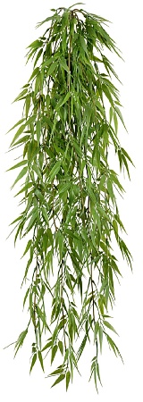 Бамбук ампельный 20.1415N