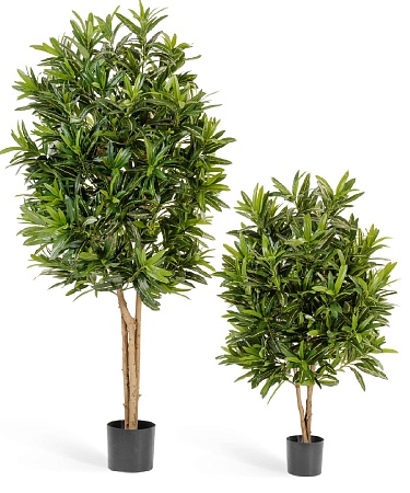 Кротон Голдфингер 10.37404N