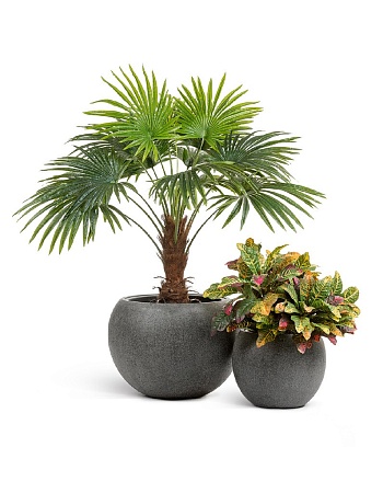 Кашпо TREEZ Effectory Stone Большая полусфера Тёмно-серый камень д-60 см, в-43 см