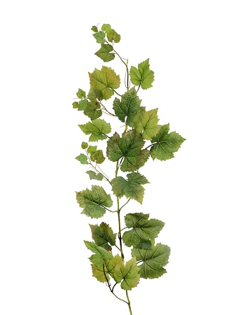 Виноградная ветвь-гирлянда натуральная 20.1292N