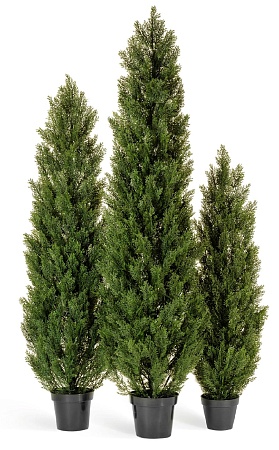 Туя Эйр Элеганс уличная 10.0215054/7N