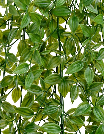 Традесканция зелёная ампельная (пластик) в-100 см ...