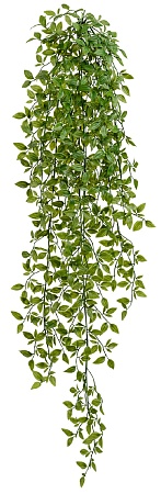 Традесканция зелёная ампельная (пластик) в-100 см ...