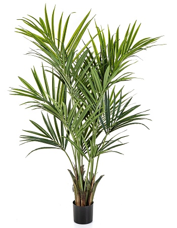 Искусственная Пальма Кентия (Ховея) де Люкс 170 см...