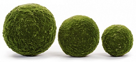 Шар из мха (Арт-объект) 10.0617217