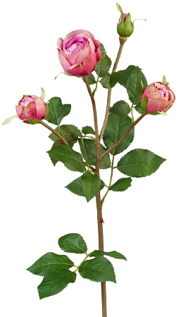 Роза Пале-Рояль ветвь малиново-розовая 30.0613112F...